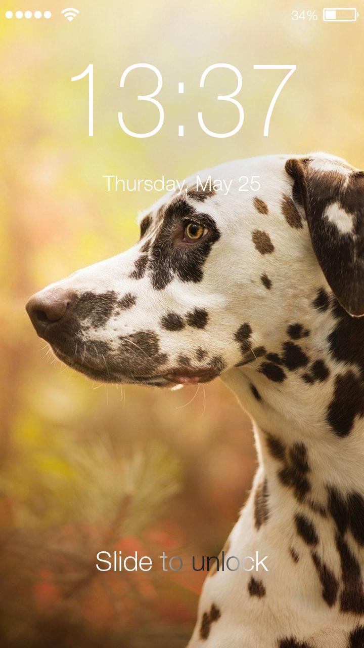 Dalmatian Puppy Dog Hd Image Lock Password Pin For Android Apk Download - apkpure com dalmatian puppy photo roblox Dalmatian Puppy Dog Hd Image Lock Password Pin For Android Apk Download - dalmatian puppy photo roblox