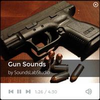 پوستر Gun Sounds