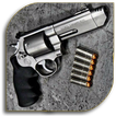 All About Guns (Guide)