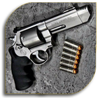 All About Guns simgesi