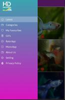 Guppy Fish Gallery-poster