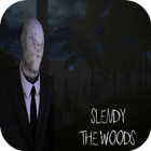 Slendy: THE WOODS (SlenderMan) icône