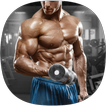 Gym Exercises Guide