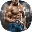 Gym Exercises Guide