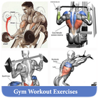 Gym Workout Exercises ไอคอน
