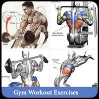 Gym Workout Exercises Affiche