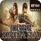 Best Tiger Zinda Hai Songs icône