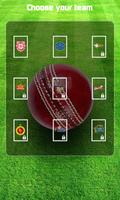 Hand Cricket capture d'écran 3