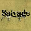 Salvage APK