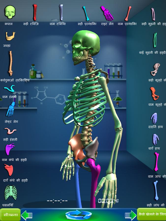 Game of bones. Игра скелет человека. Игра про скелета. Игра скелет про изучение. Скелет игра для детей.