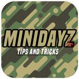 Guide for Mini DAYZ