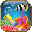 Aquarium Live Wallpaper App