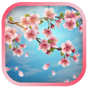 Falling Petals Live Wallpaper APK