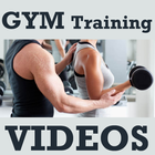 GYM Training VIDEO (Men/Women) ícone