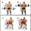 GYM WORKOUT APK