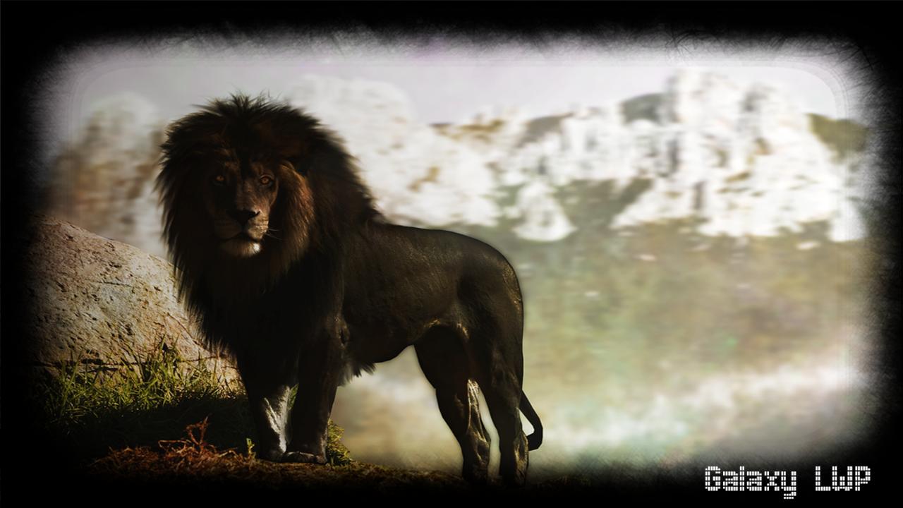 Черны лев 5. Черный Лев. Темный Лев. Черный Лев в природе. Черный Лев животное.
