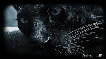 Black Panther Wallpaper screenshot 1