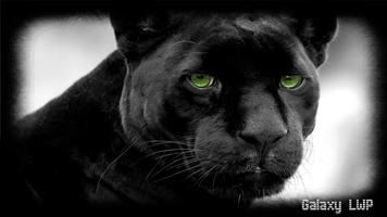 Black Panther Wallpaper screenshot 3
