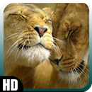 APK Big Cats Pack 3 Wallpaper