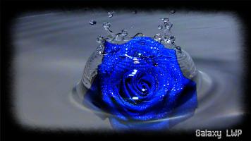 Blue Rose Wallpaper screenshot 3