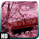 Cherry Blossom Wallpaper APK