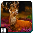 APK Deer Wallpaper