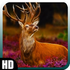 Deer Wallpaper 图标