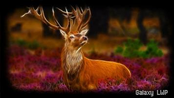 Deer Wallpaper 海报
