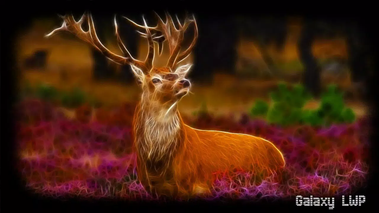Deer Wallpaper APK for Android Download Deer Wallpaper APK for Android Download
