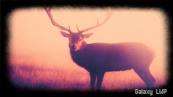 Deer Wallpaper 截图 2
