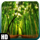 APK Forest Wallpaper
