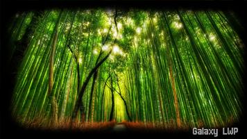 پوستر Forest Wallpaper