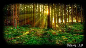 برنامه‌نما Forest Wallpaper عکس از صفحه
