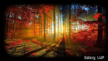 برنامه‌نما Forest Wallpaper عکس از صفحه