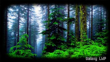 برنامه‌نما Forest Wallpaper عکس از صفحه