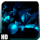 Glowing Flowers Wallpaper APK