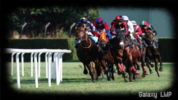 Horse Racing Wallpaper screenshot 2