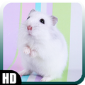 Hamster Wallpaper