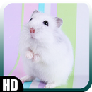 Hamster Wallpaper-APK