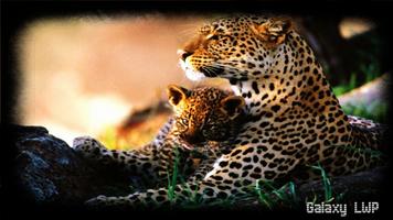 Jaguar Wallpaper capture d'écran 3
