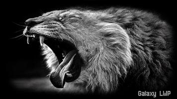 Black Lion Pack 3 Wallpaper تصوير الشاشة 3