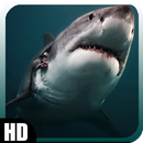 Megalodon Pack 3 Wallpaper APK