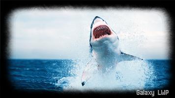 Megalodon Pack 2 Wallpaper 海報