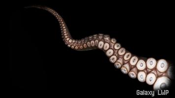Octopus Pack 3 Wallpaper скриншот 3
