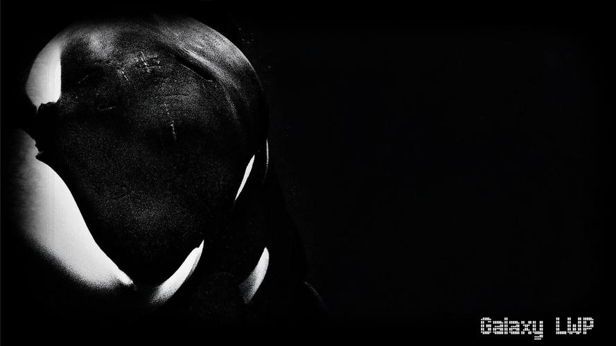 Orca Wallpaper For Android Apk Download - orca roblox galaxy