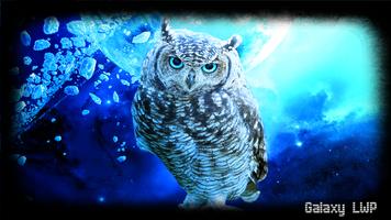 Owl Wallpaper 스크린샷 3