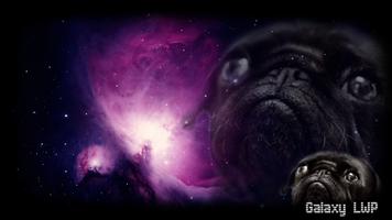 Pug Wallpaper পোস্টার