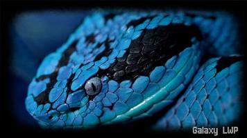 Snake Wallpaper plakat