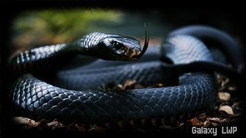 Snake Wallpaper screenshot 2