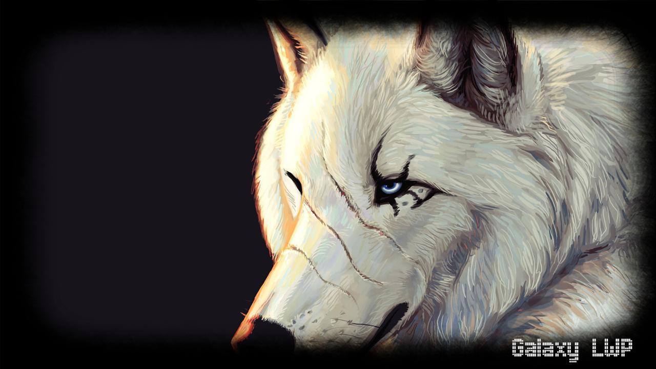 White Wolf Wallpaper For Android Apk Download